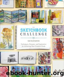 The Sketchbook Challenge by Sue Bleiweiss