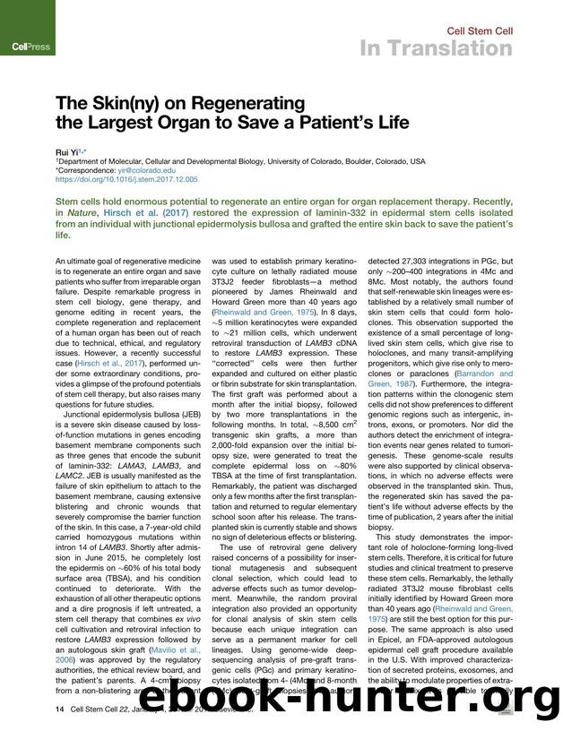 The Skin(ny) on Regenerating the Largest Organ to Save a Patient's Life by Rui Yi