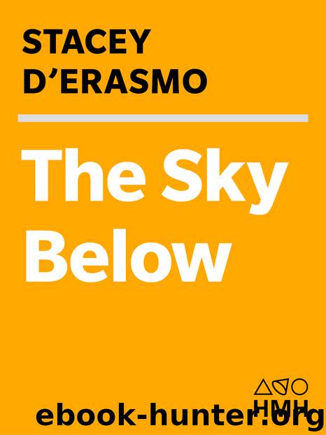 The Sky Below by Stacey D'Erasmo