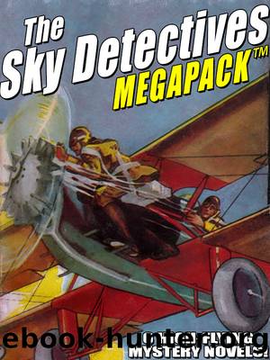 The Sky Detectives by Ambrose Newcomb