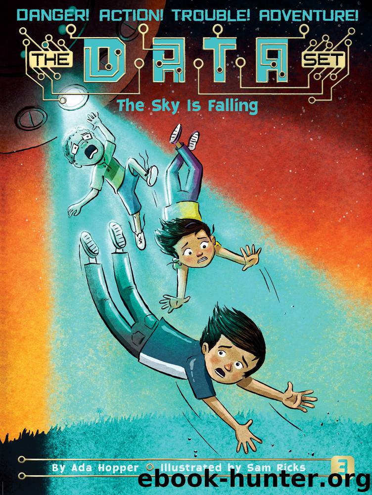 The Sky Is Falling by Ada Hopper