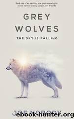 The Sky Is Falling by Joe Nobody