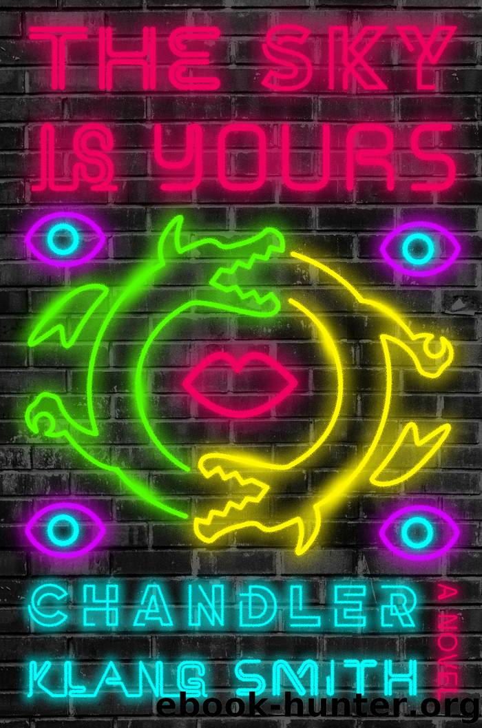 The Sky Is Yours by Chandler Klang Smith