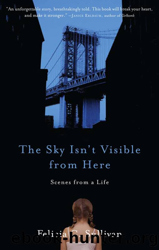 The Sky Isn't Visible from Here by Felicia C. Sullivan
