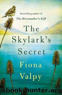 The Skylark's Secret by Fiona Valpy