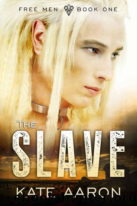 The Slave (Free Men Book 1) by Aaron Kate