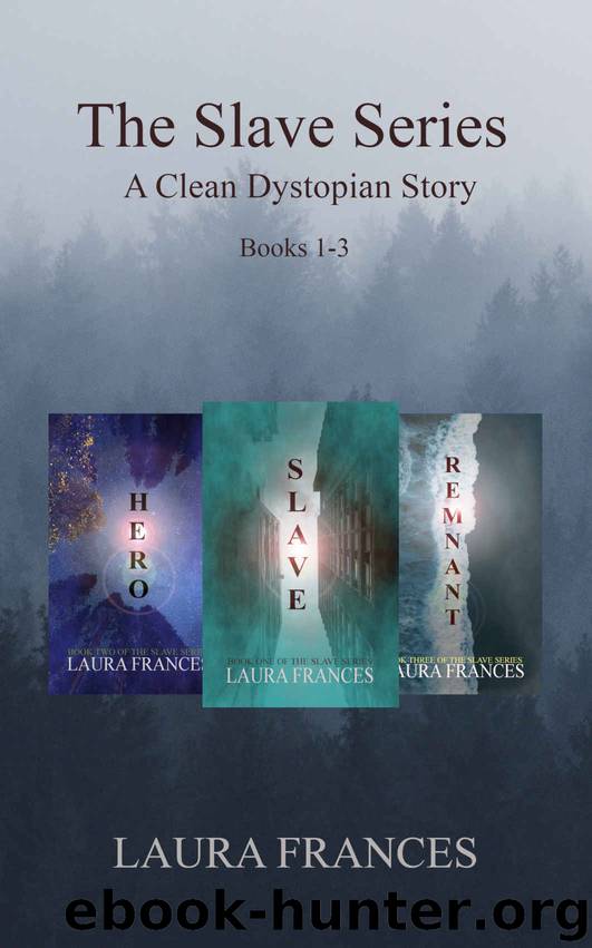 The Slave Series by Laura Frances