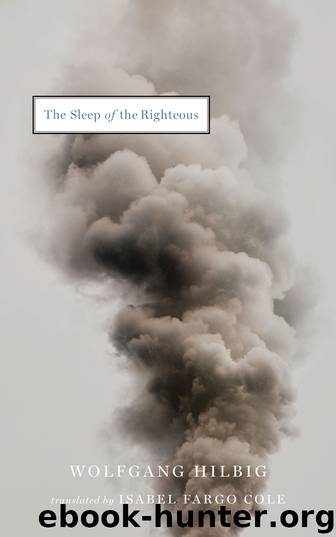 The Sleep of the Righteous by Wolfgang Hilbig