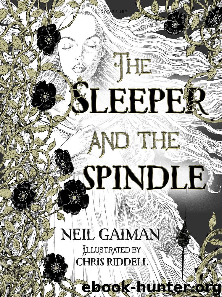 The Sleeper and the Spindle by Neil Gaiman & Chris Riddell