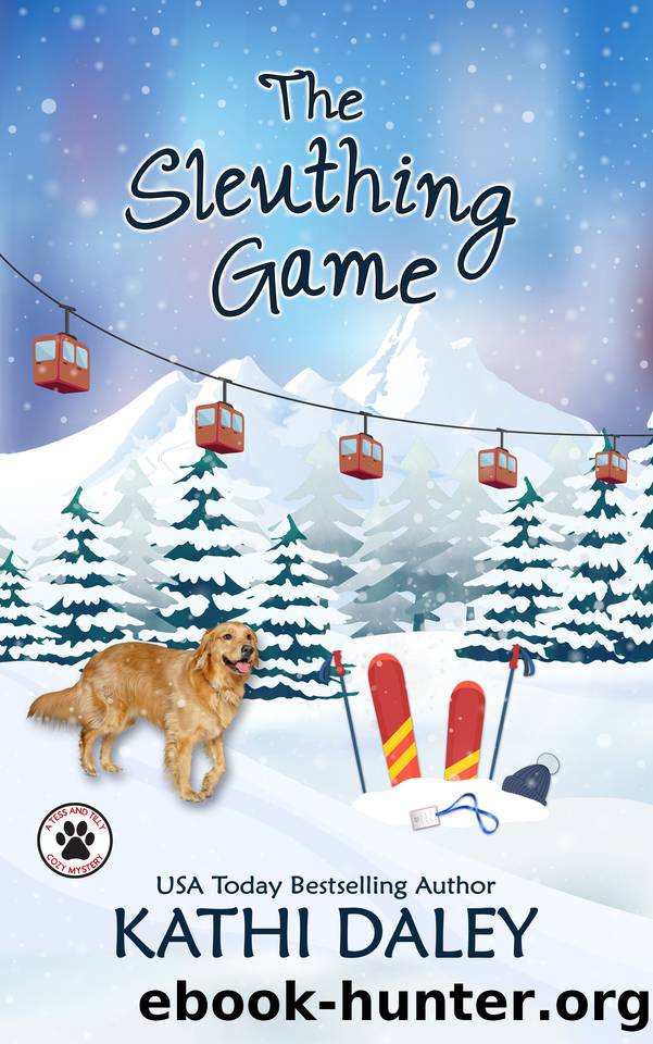 The Sleuthing Game: A Cozy Mystery (A Tess and Tilly Cozy Mystery Book 16) by Kathi Daley