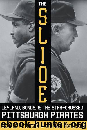 The Slide by Richard Peterson & Stephen Peterson