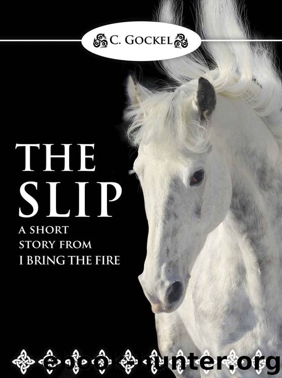 The Slip: I Bring the Fire 4.5 (A Short Story) by C. Gockel