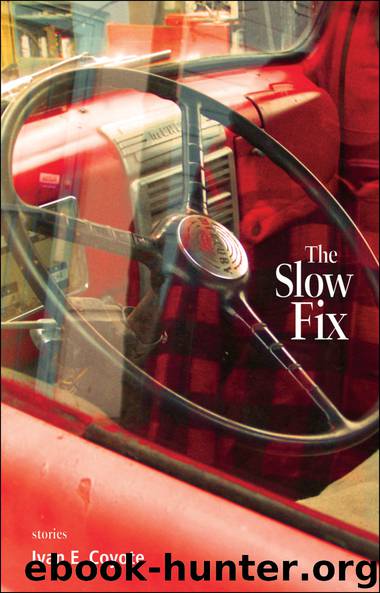 The Slow Fix by Coyote Ivan;
