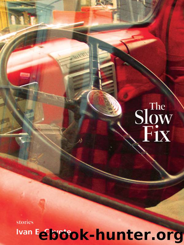 The Slow Fix by Ivan Coyote