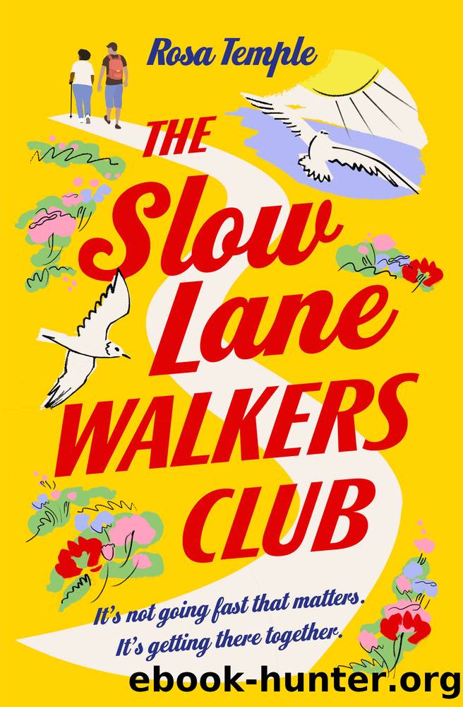 The Slow Lane Walkers Club by Rosa Temple