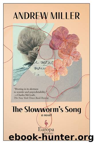The Slowworm's Song by Andrew Miller