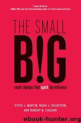 The Small BIG: Small Changes That Spark Big Influence by unknow