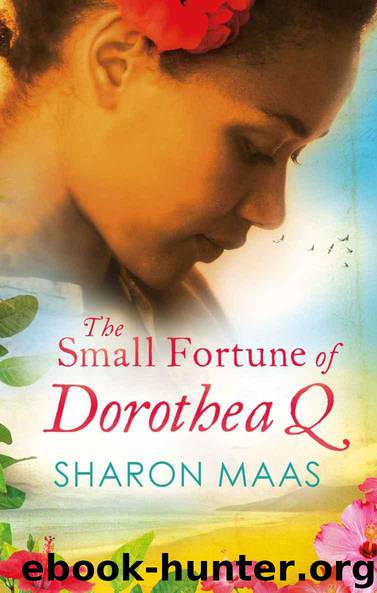 The Small Fortune of Dorothea Q by Sharon Maas