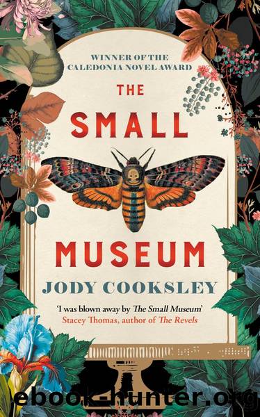 The Small Museum by Jody Cooksley