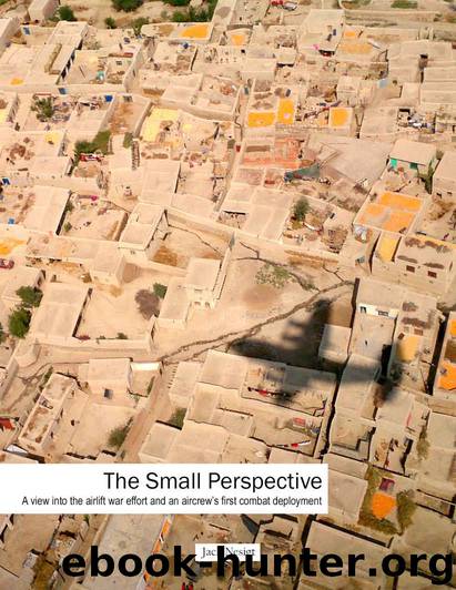 The Small Perspective: A view into the airlift war effort and an aircrew's first combat deployment by Jack Nesigt (NDP)