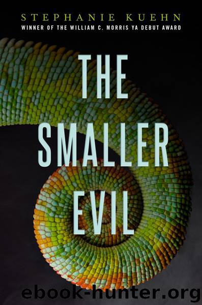 The Smaller Evil by Stephanie Kuehn