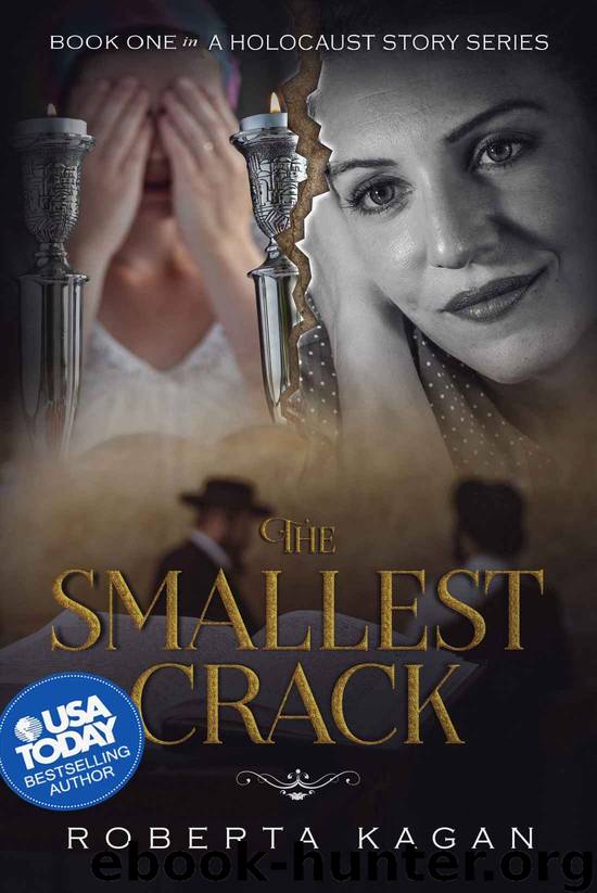 The Smallest Crack by Roberta Kagan