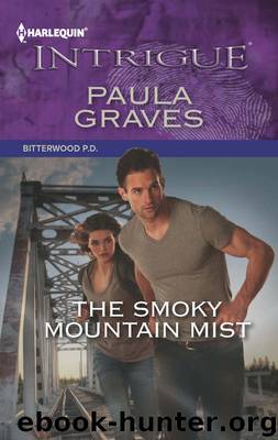 The Smoky Mountain Mist by Paula Graves
