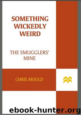 The Smugglers' Mine by Chris Mould