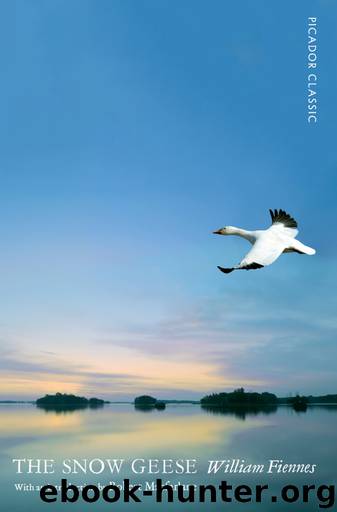 The Snow Geese by William Fiennes