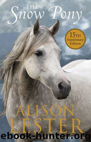 The Snow Pony by Alison Lester