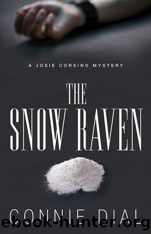 The Snow Raven by Connie Dial