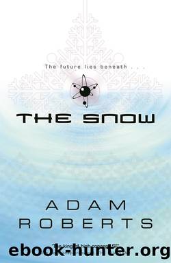 The Snow by Adam Roberts