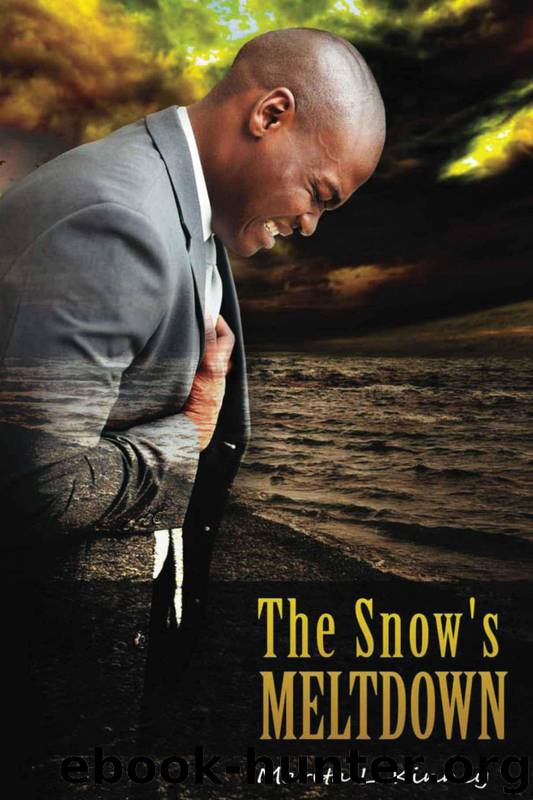 The Snow's Meltdown by Marita Kinney
