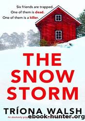 The Snowstorm by Tríona Walsh