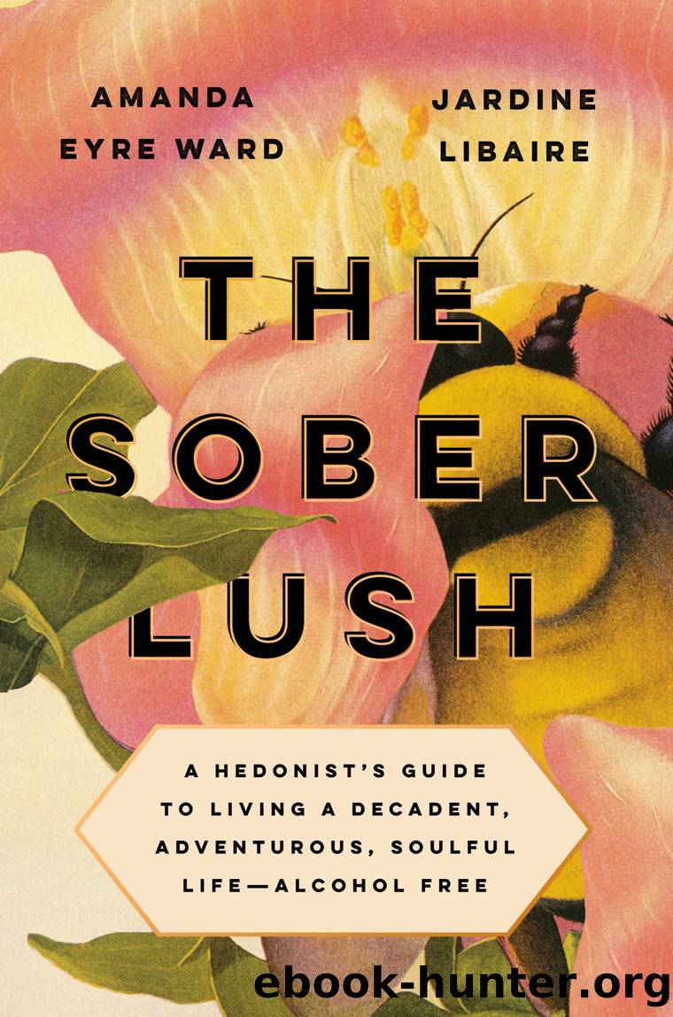 The Sober Lush by Amanda Eyre Ward & Jardine Libaire