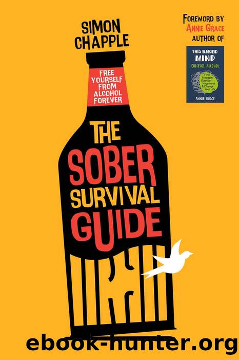 The Sober Survival Guide by Simon Chapple