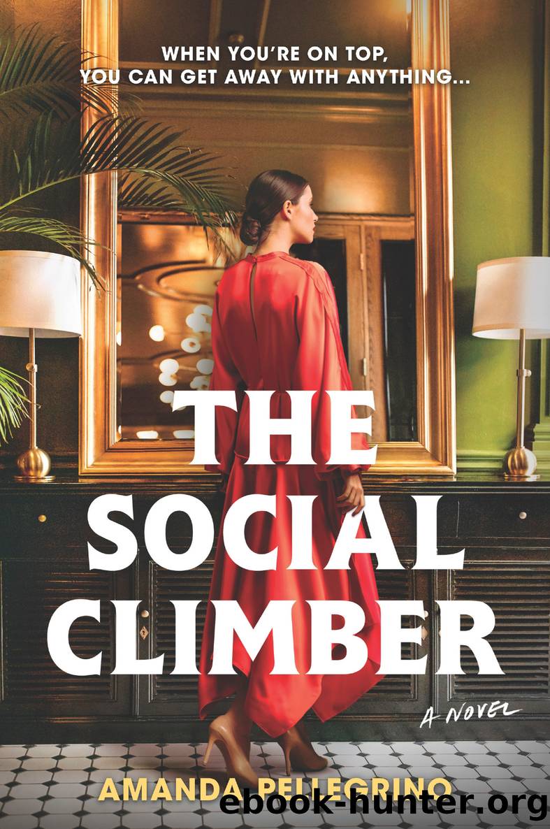 The Social Climber by Amanda Pellegrino