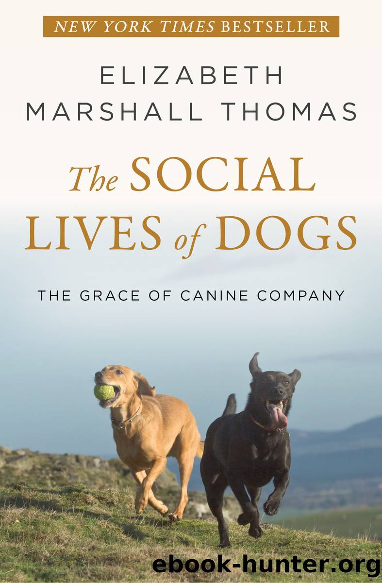 The Social Lives of Dogs by Elizabeth Marshall Thomas