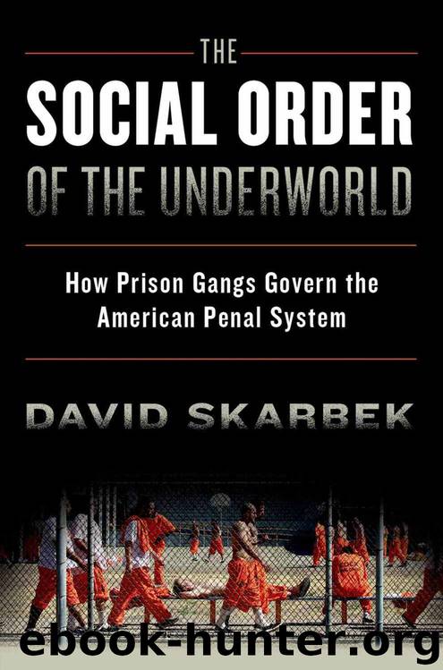 The Social Order of the Underworld: How Prison Gangs Govern the American Penal System by David Skarbek
