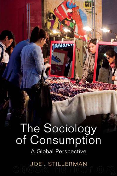 The Sociology of Consumption by Stillerman Joel;