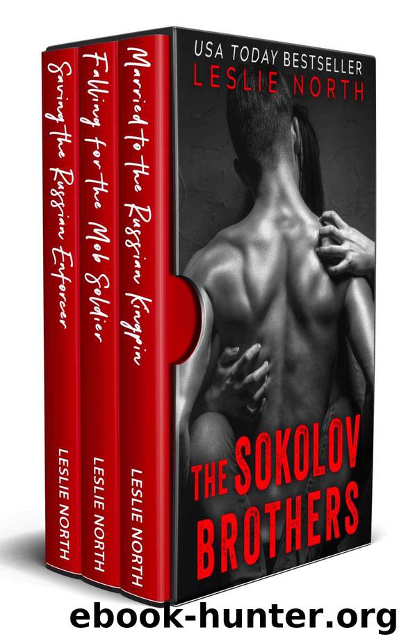 The Sokolov Brothers: The Complete Series by North Leslie