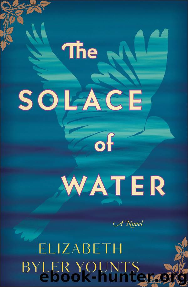 The Solace of Water by Elizabeth Byler Younts