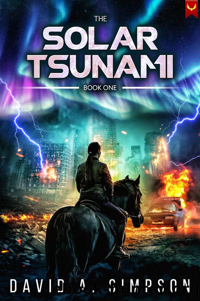 The Solar Tsunami: A Post-Apocalyptic EMPCME Survival Thriller by David A. Simpson