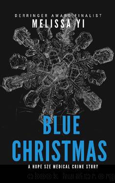 The Soldier's Christmas by Melissa Lynne Blue