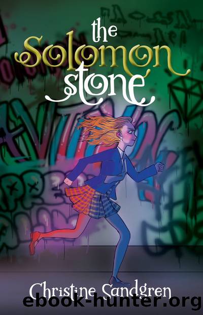 The Solomon Stone by Christine Sandgren