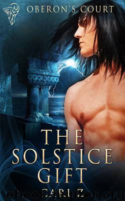The Solstice Gift by Cari Z