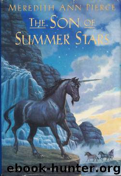 The Son of Summer Stars (ft-3) by Meredith Ann Pierce