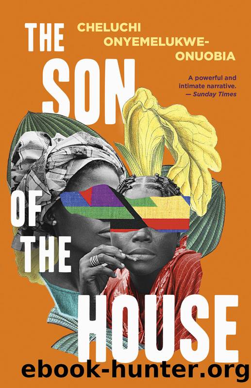 The Son of the House by Cheluchi Onyemelukwe-Onuobia