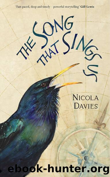 The Song That Sings Us by Nicola Davies