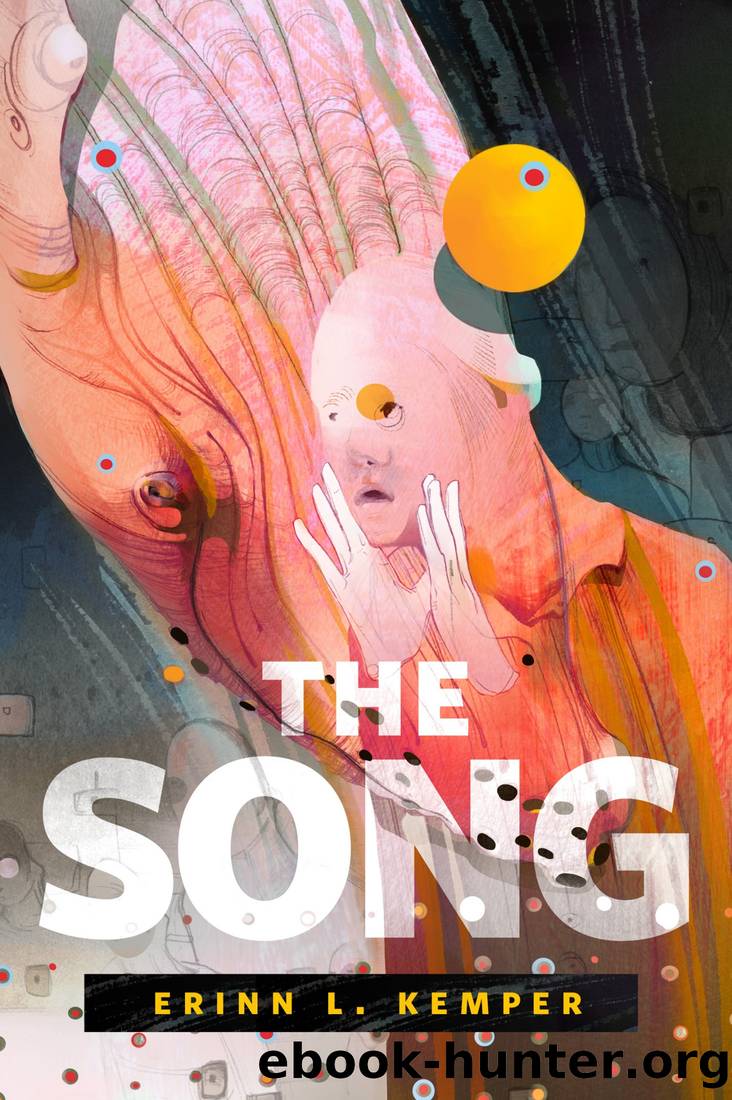 The Song by Erinn L Kemper